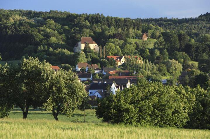 Schlosshotel Obermayerhofen Sebersdorf Zewnętrze zdjęcie