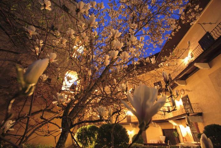 Schlosshotel Obermayerhofen Sebersdorf Zewnętrze zdjęcie