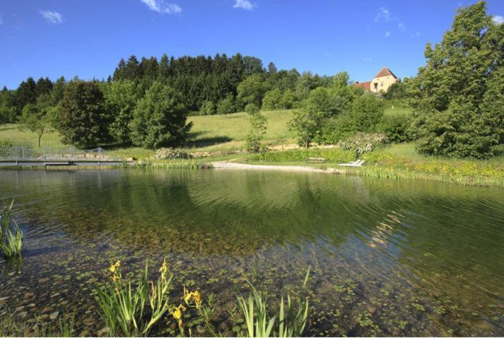 Schlosshotel Obermayerhofen Sebersdorf Zewnętrze zdjęcie